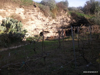 stellaccio20-11-2016 15-45-35